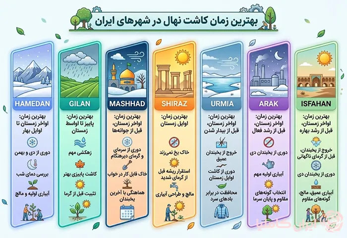 بهترین زمان کاشت نهال در شهرهای مختلف ایران